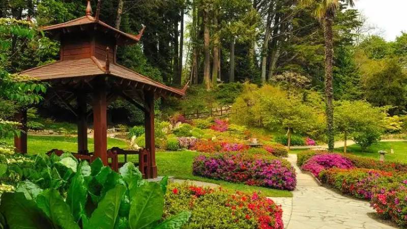 必一运动园林绿化平台团队在苗圃进行植物配置记录